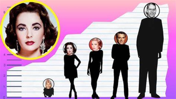Elizabeth Taylor Height 5 feet 2 inches Bust 36 inches Waist 21