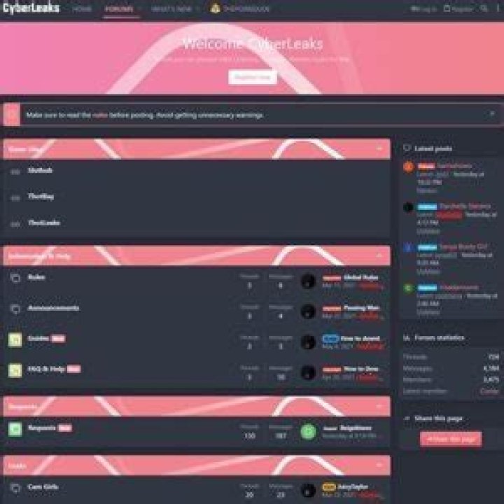 faithcox CyberLeaks