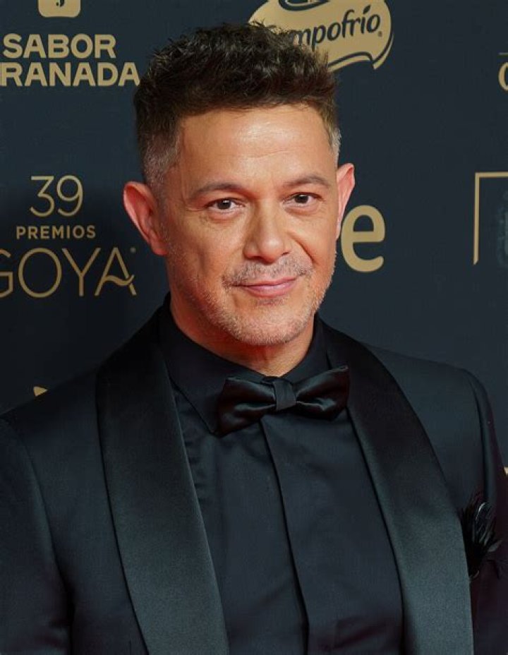 FileAlejandro Sanz 2011.jpg Wikipedia, the free encyclopedia