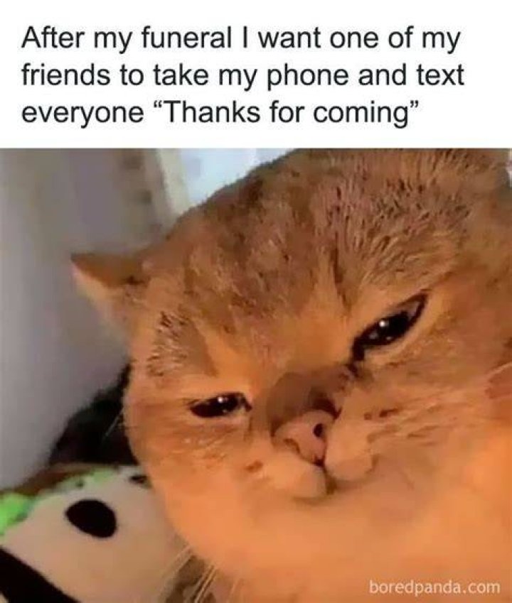 Funny Meme On Instagram Image Photo Joke 13 QuotesBae