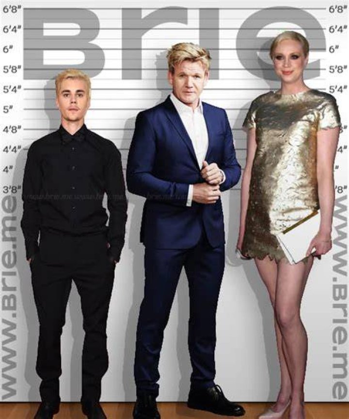 Gordon Ramsay Height How Tall Is The 56yearold British Chef? Naija