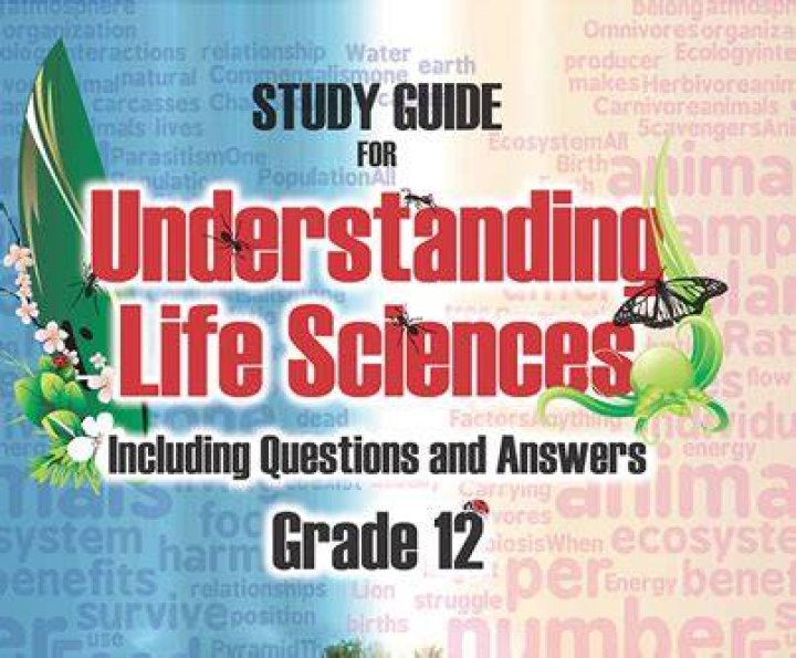 Guide To Understanding The Life Of Breanne Palmerini