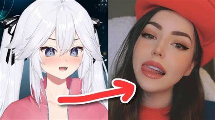 Has Froot Vtuber's Face Been Revealed?