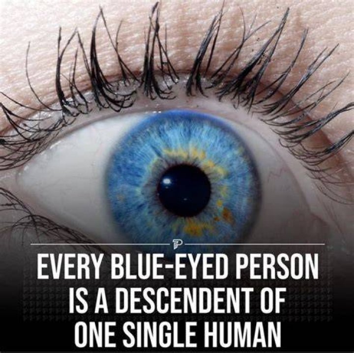 Heard you&rsquo;re into blue eyed with tattoos 😘 ️ fyp reels 
