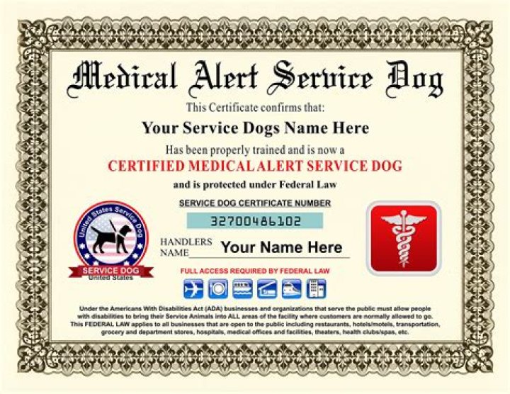 How do I get my dog certified as a diabetic alert dog?