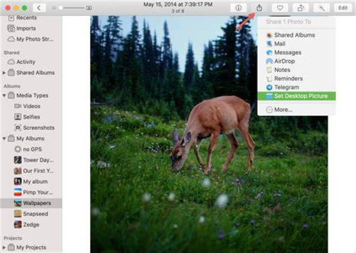 How do I save a picture as wallpaper on Mac?