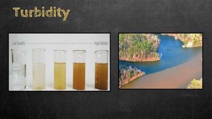How does turbidity affect pH?
