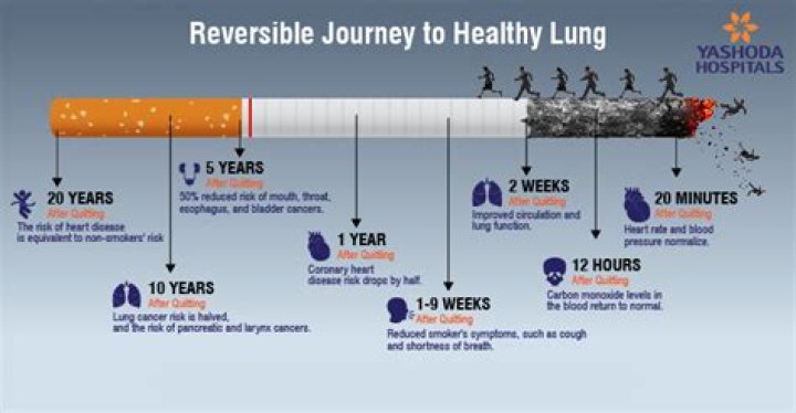 How long does it take for your lungs to repair after quitting smoking?