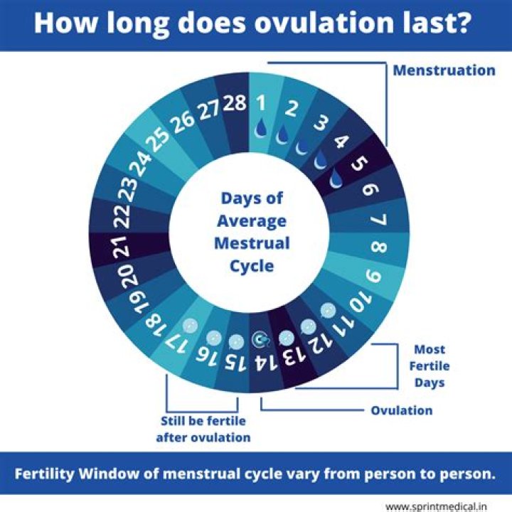 How long is my cycle if I ovulate on day 17?