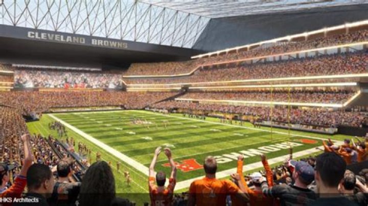 How many flags did the Browns have?
