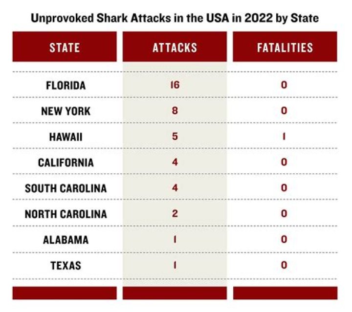 How many shark attacks in the US each year?