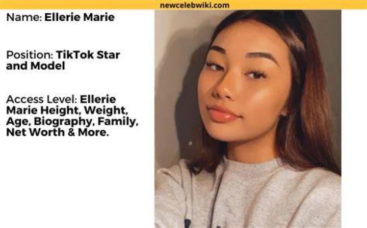 How old is Ellerie Marie? All about Ricegum's girlfriend amid tragic