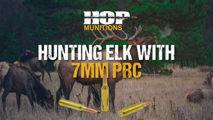 Is a 7mm STW good for elk hunting?