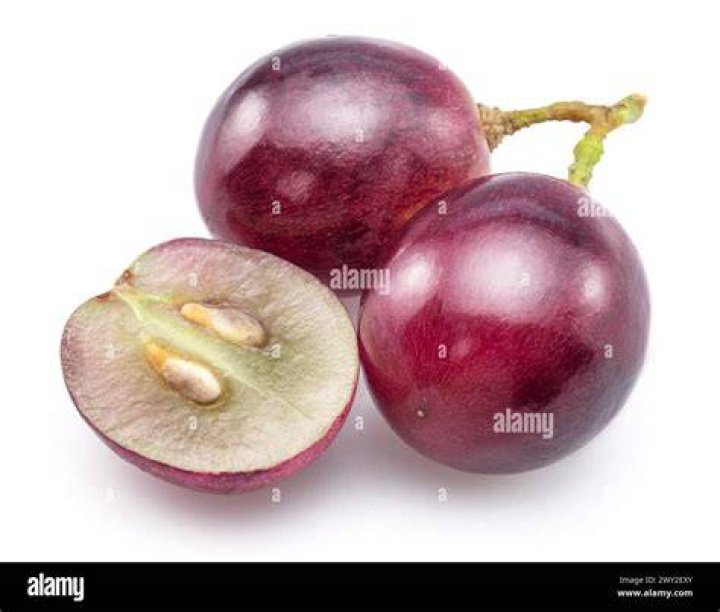 Is a grape a berry?