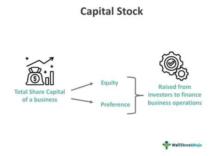 Is capital stock considered revenue?