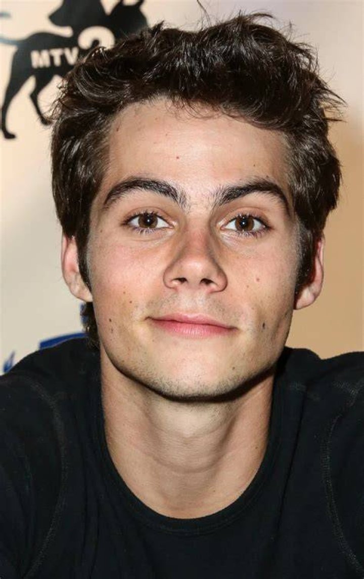 Is Dylan O'Brien in the 'Teen Wolf' Movie?