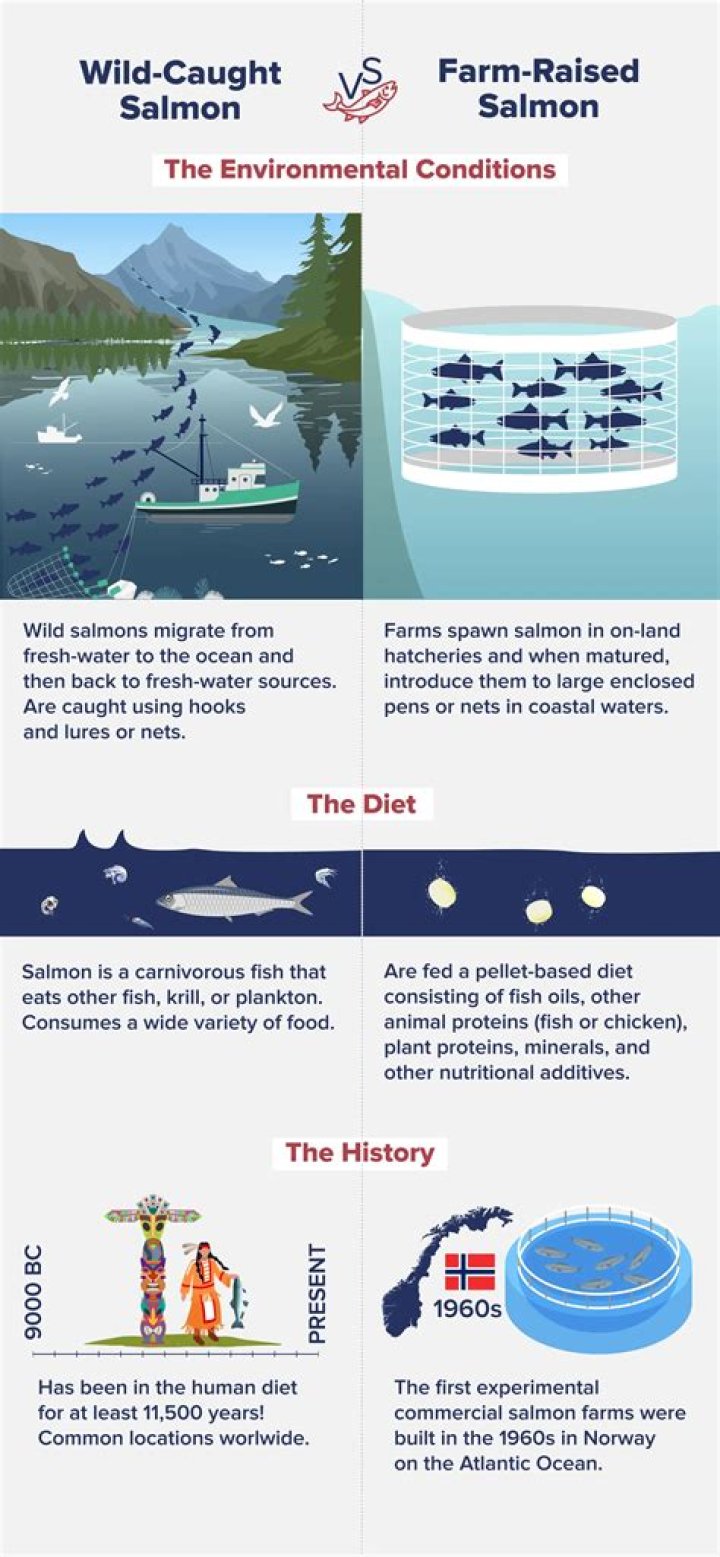 Is farmed salmon environmentally friendly?