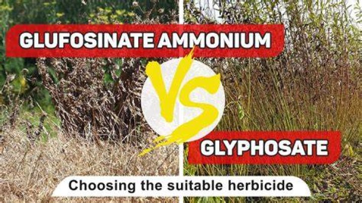 Is glufosinate ammonium the same as glyphosate?