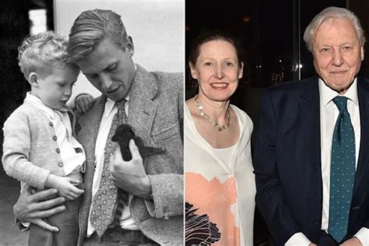 Is Robert Attenborough Married? Everything On David Attenborough Son
