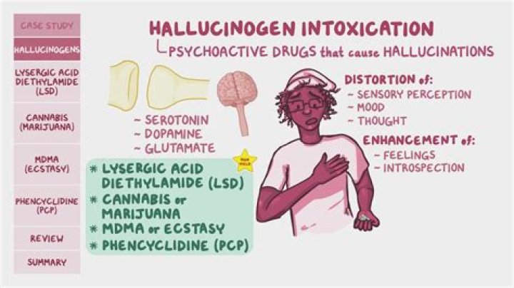 Is serotonin a hallucinogen?