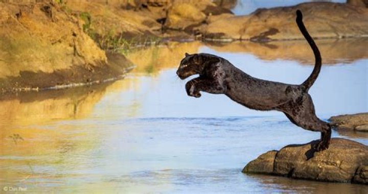 Is the waterfall in Black Panther real?