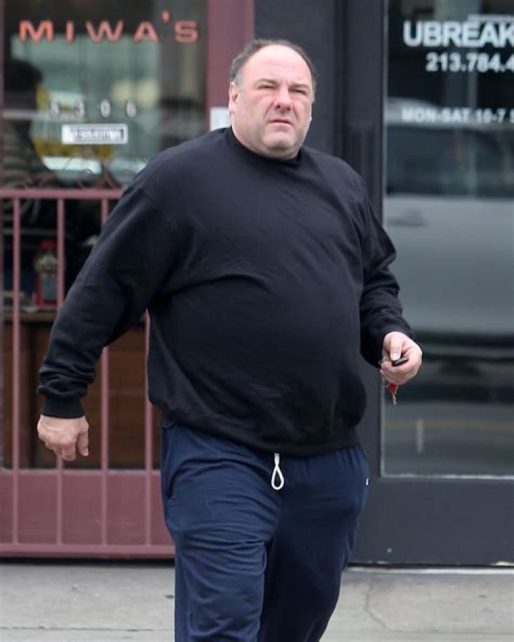 James Gandolfini Height, Weight, Interesting Facts, Career Highlights
