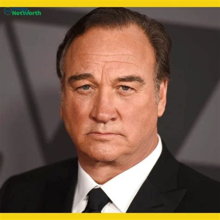 Jim Belushi Net Worth 2023 (With Yearly Earning Highlights)