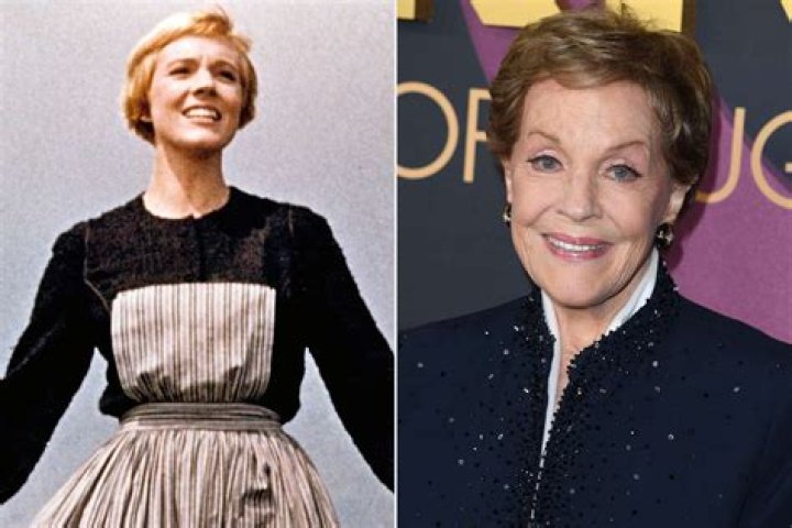 Julie Andrews' Grandchildren Maximillan Scheff, Hope Hamilton, And Sam