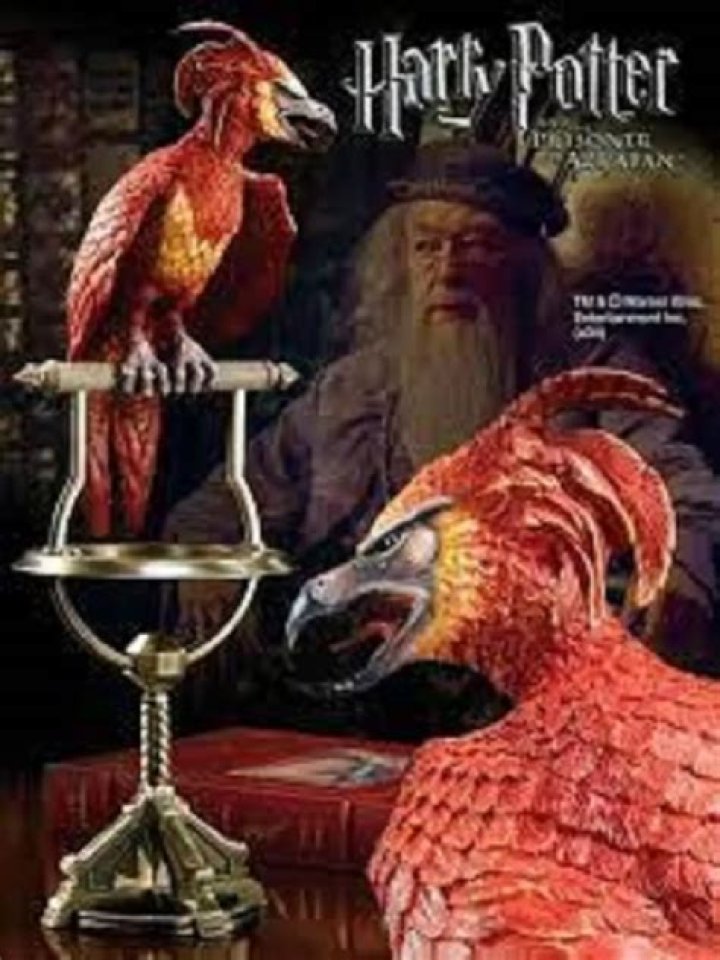Kenapa Burung Phoenix Sangat Penting di Keluarga Dumbledore?