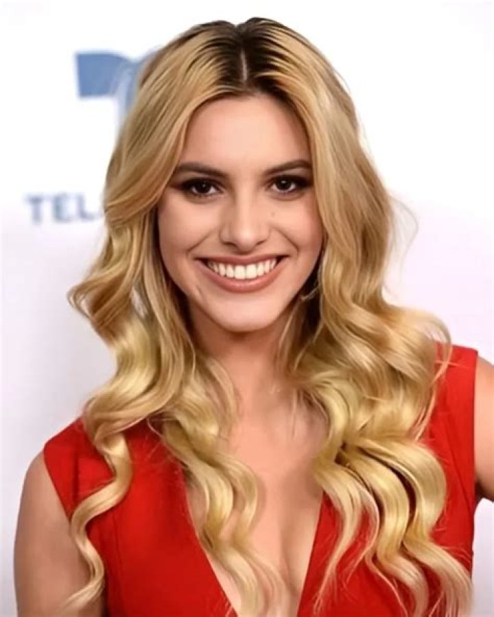 Lele Pons Net Worth 2024 Popular American YouTuber Market Share Group