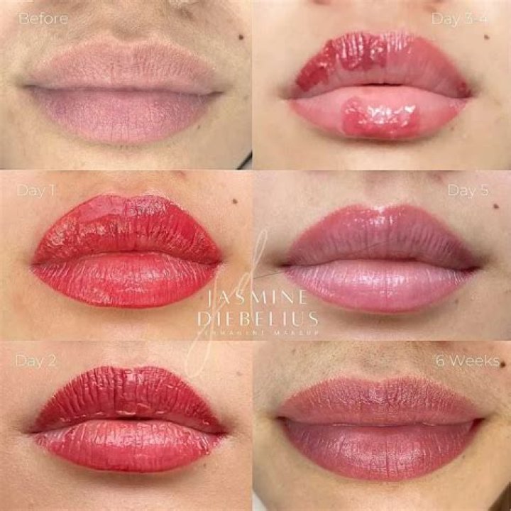 Lip Blush Healing Day by Day Tina Davies Professional