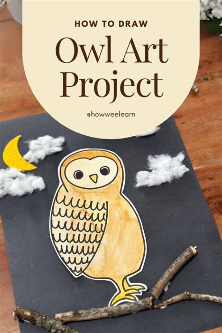 Looking to learn about owl decoys and how they work? Well then, you're
