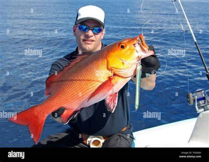 Lucky Fisherman Catches Big Fish Worth KSh 450m Tuko.co.ke