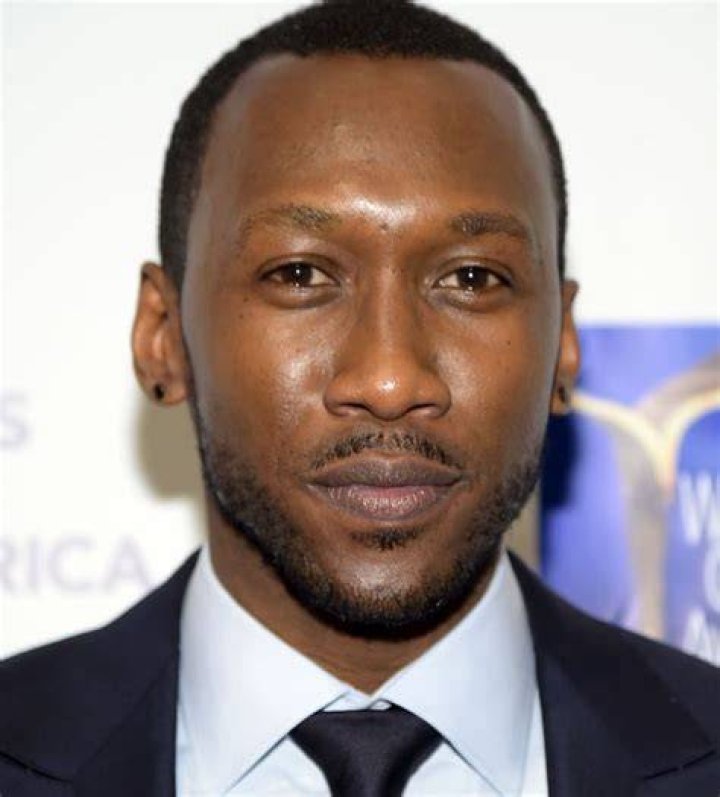Mahershala Ali from Celebs Who Became Dads in 2017 E! News