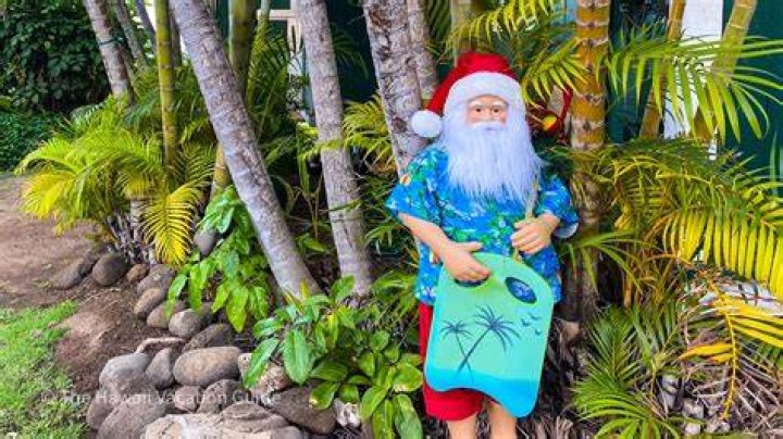 McCurdy Hawaiian Holiday Photo 491535 Photo Gallery