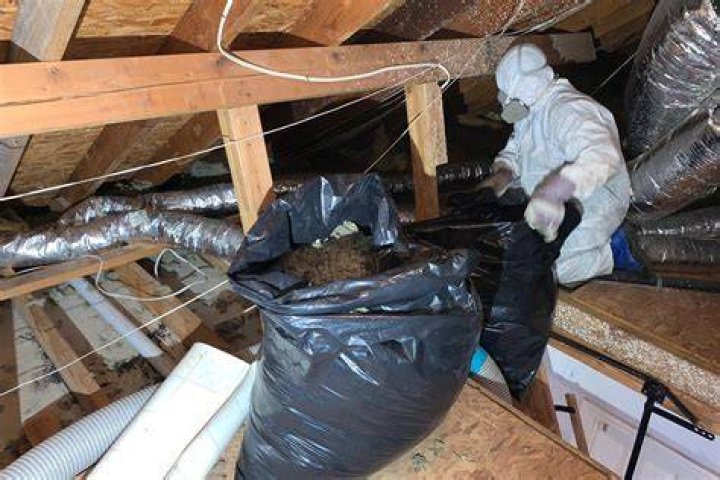 Me to clean the attic but babe, it reeks of sulfur iFunny