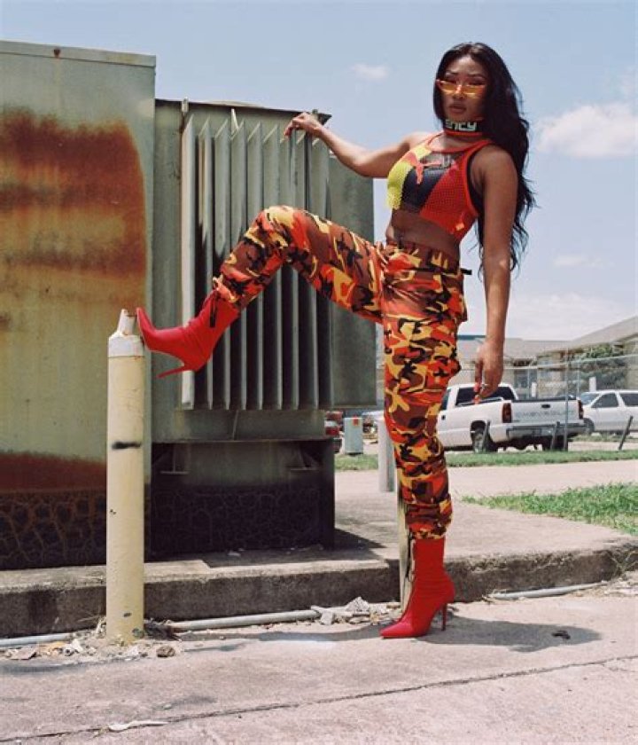 Megan Thee Stallion Fans Are On Their Knees As Alias Tina Snow Makes A