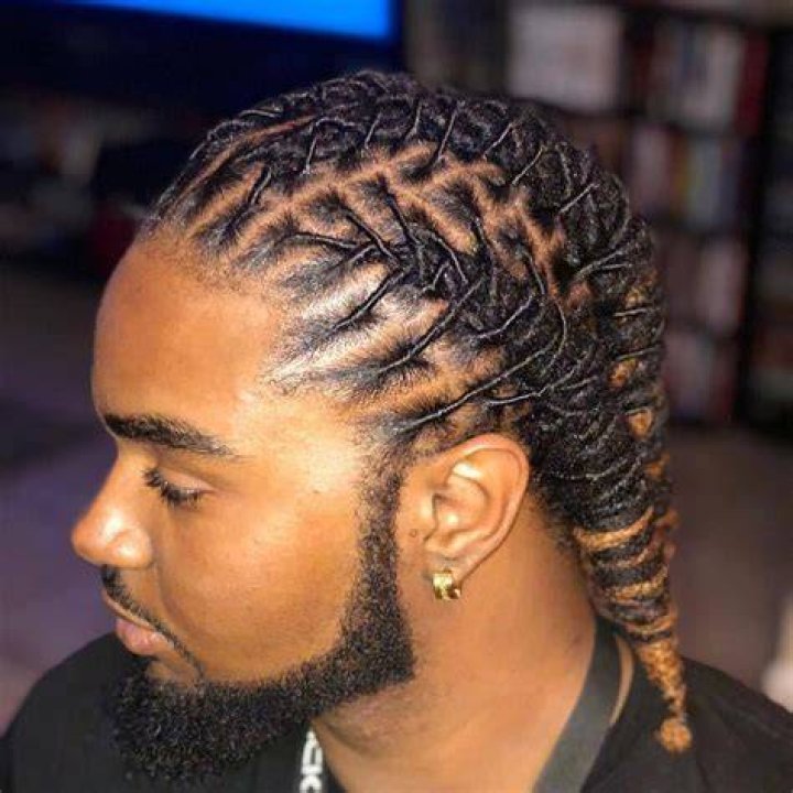 Men Locstyles in 2020 Dreadlock hairstyles for men, Dreadlock styles