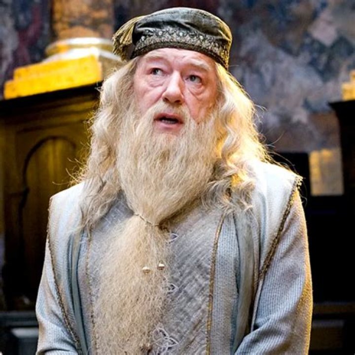 Michael Gambon's Personal Life How Did The 'Harry Potter' Actor