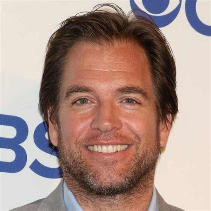 Michael Weatherly AlloCiné