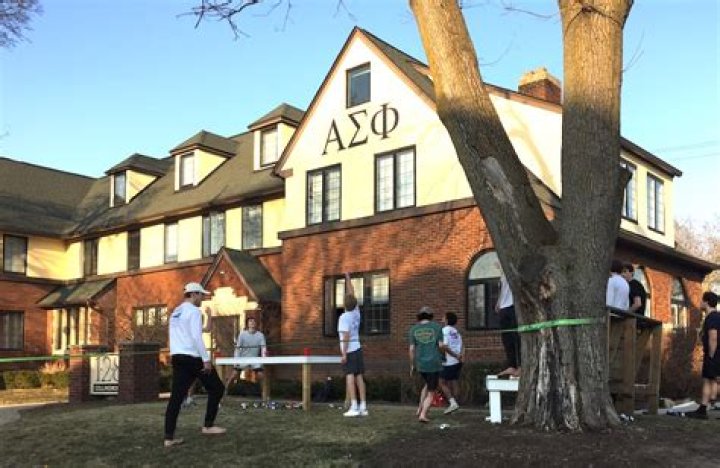 Michigan State University Greek Life A C Alpha Phi Alpha