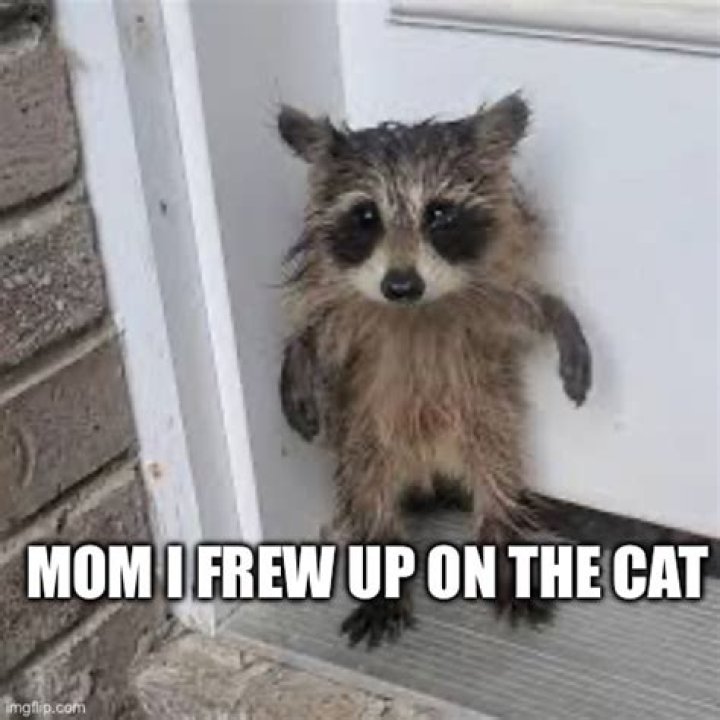 Mom I frew up Imgflip