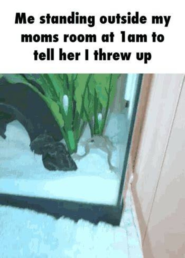Momithrewup memes. Best Collection of funny Momithrewup pictures on iFunny