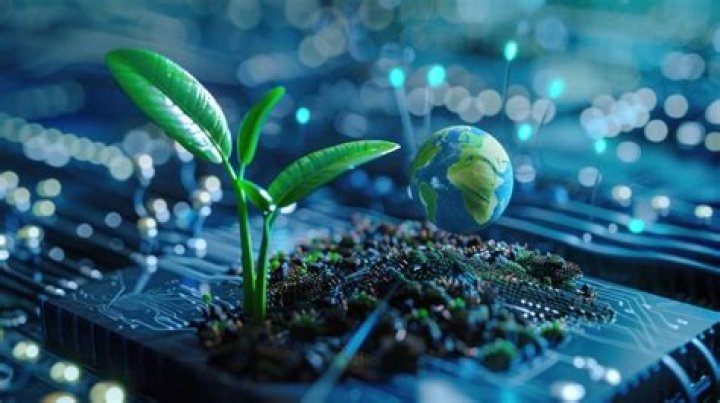 Nature, Technology, And Art Intertwined