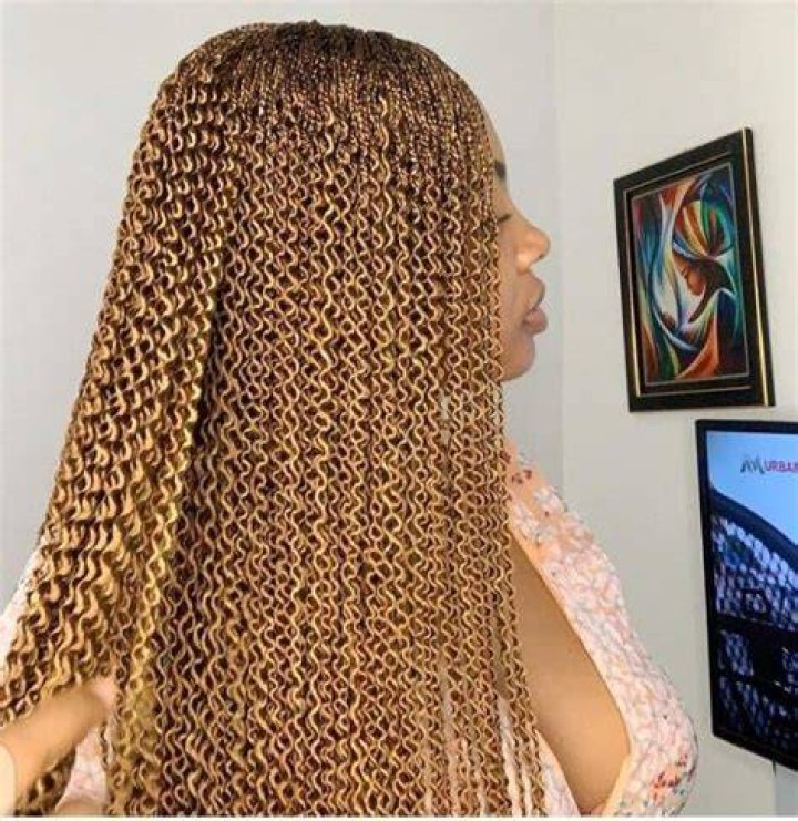 Nigerian Braids Hairstyles, African Braids Hairstyles Pictures, African