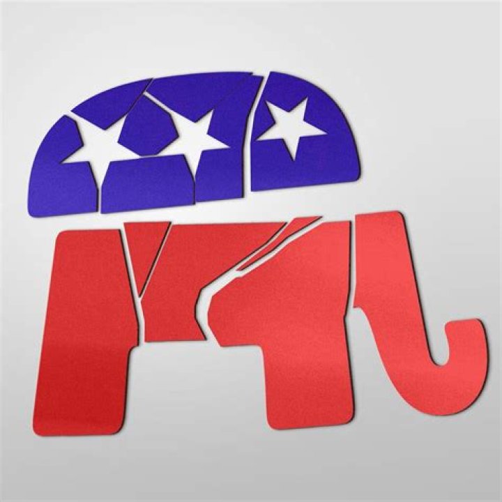 Opinion The Republican Party has a tough choice to make CNN