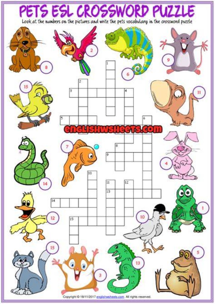 Pets Crossword Puzzle ESL worksheet by