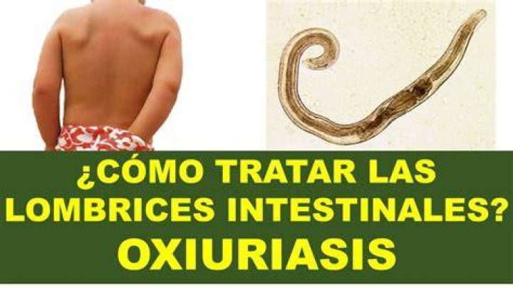 Por que salen lombrices por la boca?