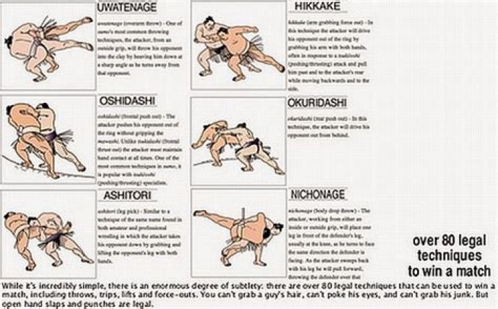 Rules of Sumo; Simple and to know before watching Sumo