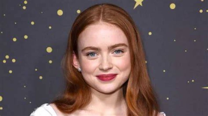 Sadie Sink Net Worth 2024 Wiki, Married, Family, Wedding, Salary, Siblings